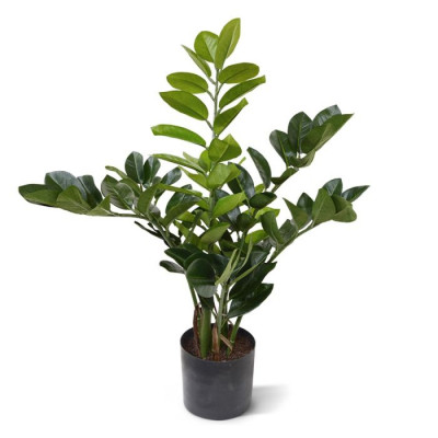 Planta Zamioculcas artificial 55 cm 