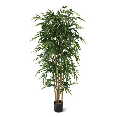 Bambukas 210 cm
