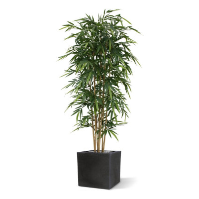 Бамбук (200 см)
