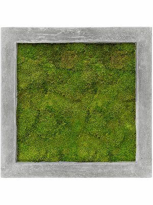 Polystone Raw Grey 100% Flat moss (↔50 cm ↕50 cm)