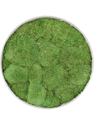 Refined Natural White 100% Ball moss (⌀40)