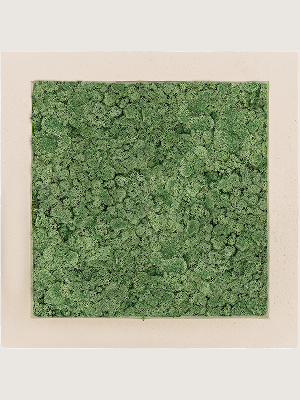 Polystone Natural 100% Reindeer Moss (Moss green) (↔50 cm ↕50 cm)