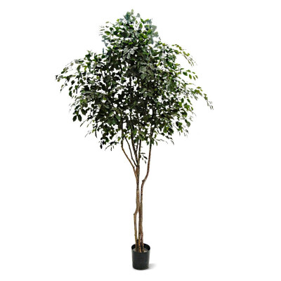 Árvore Ficus Exotica artificial 330 cm 