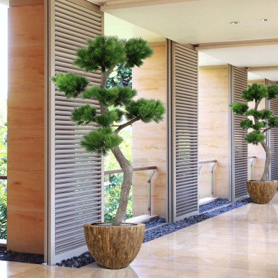 Piinia bonsai UV-kaitsega (210 cm)