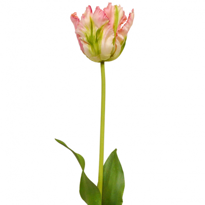 Mākslīgā tulpe (70 cm)