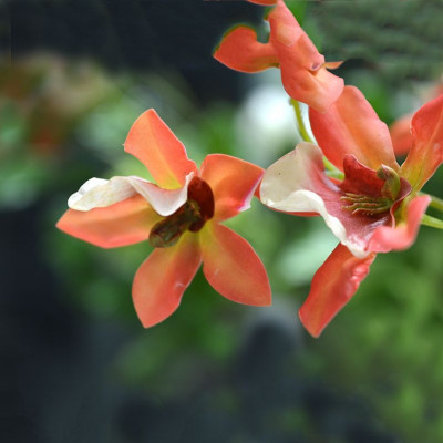 Mākslīgā orhideja (80 cm)