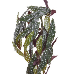 Fake Begonia Maculata (80 cm)