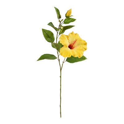 Hibisk (65 cm)