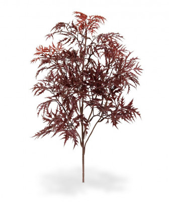 Keisarinhopea-aralia UV-suojalla (50 cm)