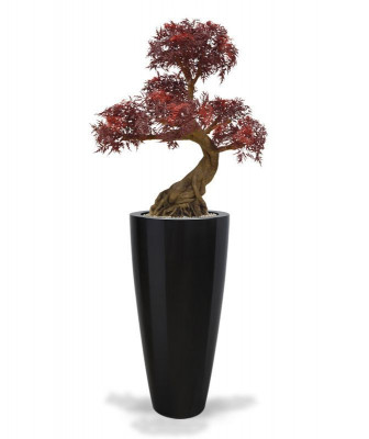 Põõsas-tarasariku bonsai UV-kaitsega (90 cm)