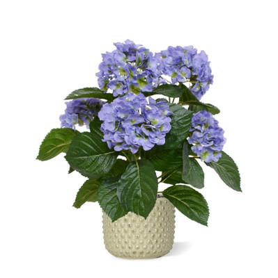 Hortensia (40 cm)