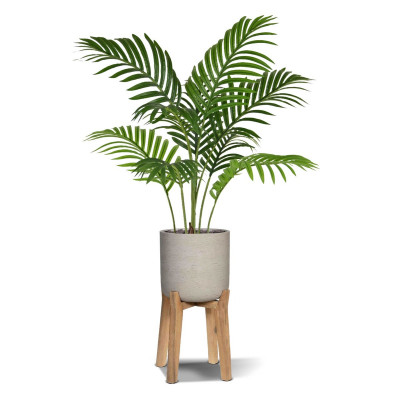 Areca palm 80cm