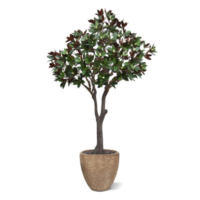 Magnolia XL (300 cm) na podstawie