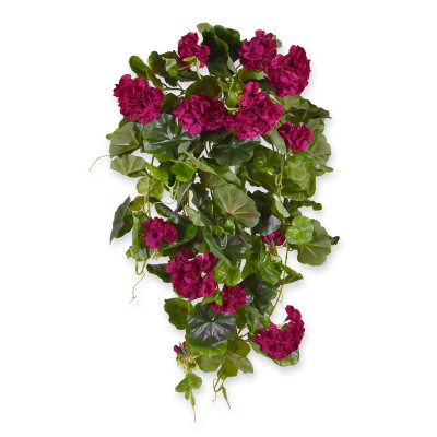 Geranium 70cm burgundy