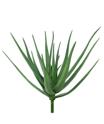 Aloes bukiet (60 cm)