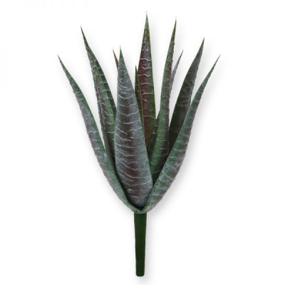 Aaloe (33  cm)