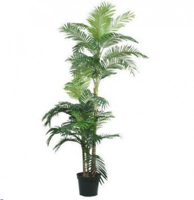 Palma Golden Cane Areca artificial x3 180 cm 