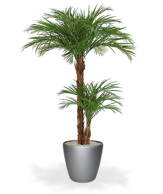 Konstgjord Guldpalm (225 cm)