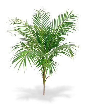 Bouquet Areca Palm artificial 80 cm