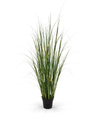 Bambu otu (120 cm)