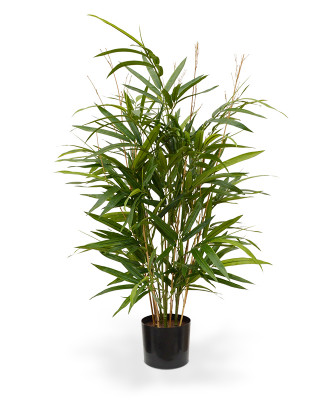 Bambukas 70 cm 