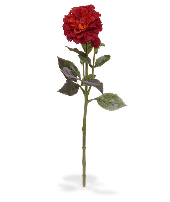 Dalia kwiat (60 cm)