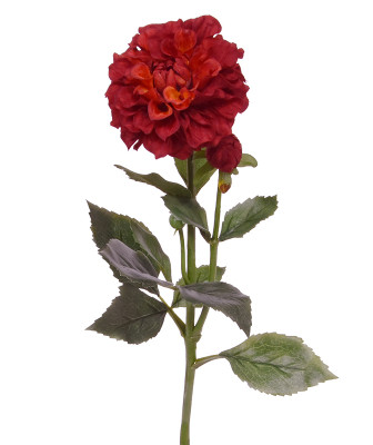 Dalia kwiat (60 cm)