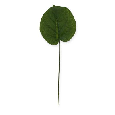 Filodendron (20 cm)