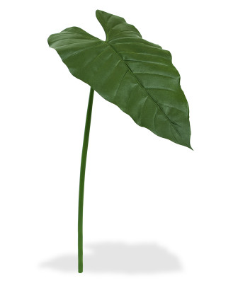 Philodendron yaprağı (65 cm)