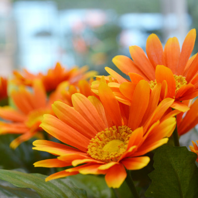 Konstgjord Gerbera bukett (30 cm)