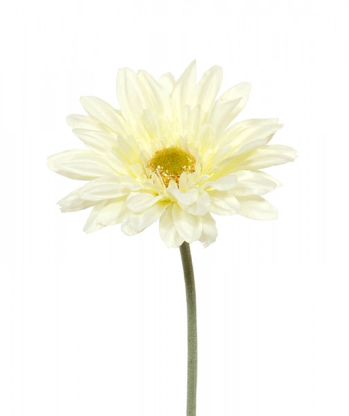 Flor Gerbera artificial 60 cm creme | Comprar planta artificial de qualidade