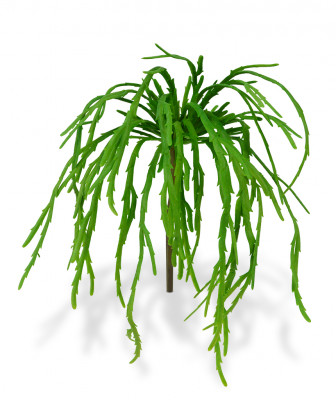 Bouquet Rhipsalis Lepismium artificial 30 cm 