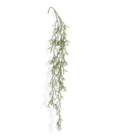 Fake Rhipsalis Trigona trailingplant (100 cm)