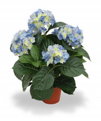 Hortensia (45  cm)