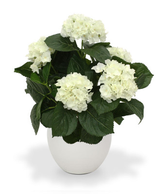 Hortensia (45  cm)