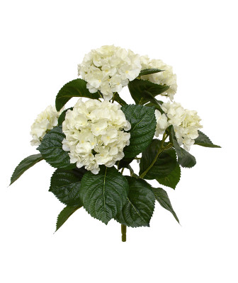 Hortensia (40 cm)