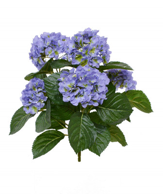 Hortensia (40  cm)