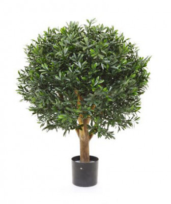 Ilex (55 cm) UV