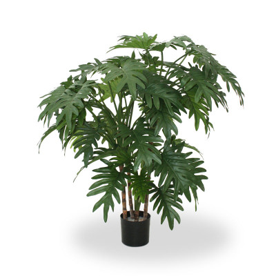 Philodendron Xanadu (95 cm)