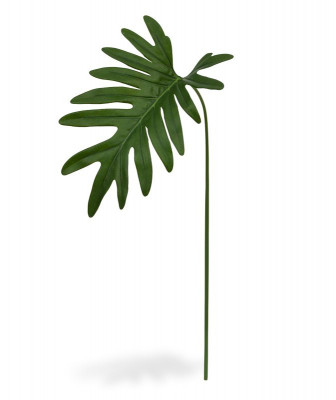 Philodendron yaprağı (55 cm)