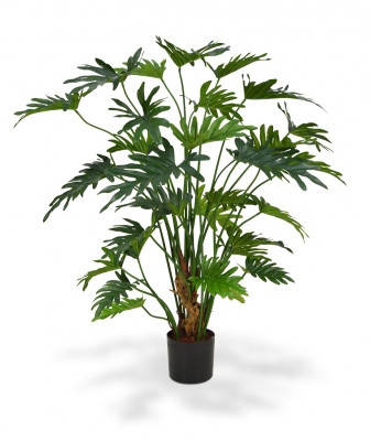 Philodendron Xanadu (80 cm)