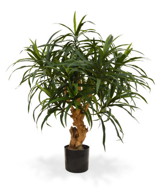 Konstgjord Dracena Reflexa (75 cm)