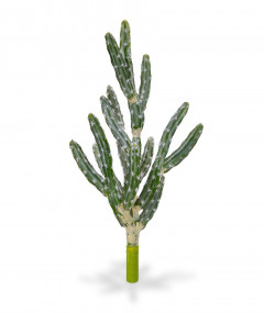 Fake Tetragonus cactus bouquet (70 cm)