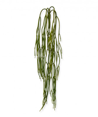 Konstgjord Rhipsalis Pilocarpa (65 cm)