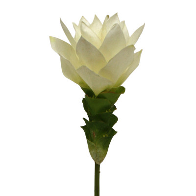 Mākslīgais kurkuma zieds ar kātu (50 cm)