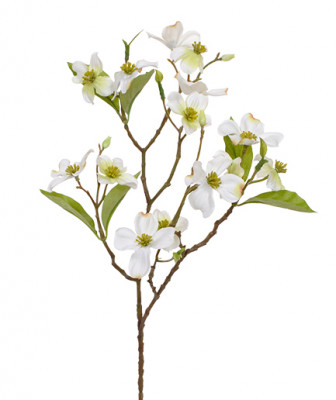 Ramo Dogwood artificial 50 cm creme