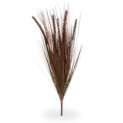 Pennisetum buket (75 cm)