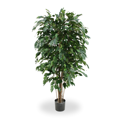 Ficus Exotica artificial Deluxe 150 cm verde