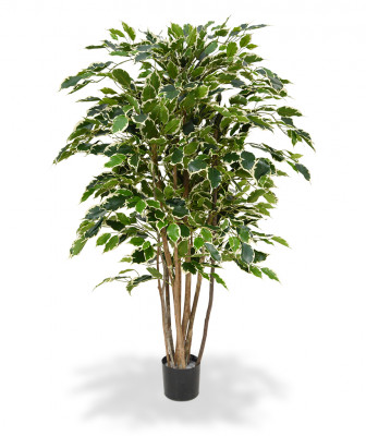 Ficus Exotica artificial Deluxe 125 cm variegado