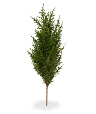 Konstgjord Cypress vukett (56 cm)